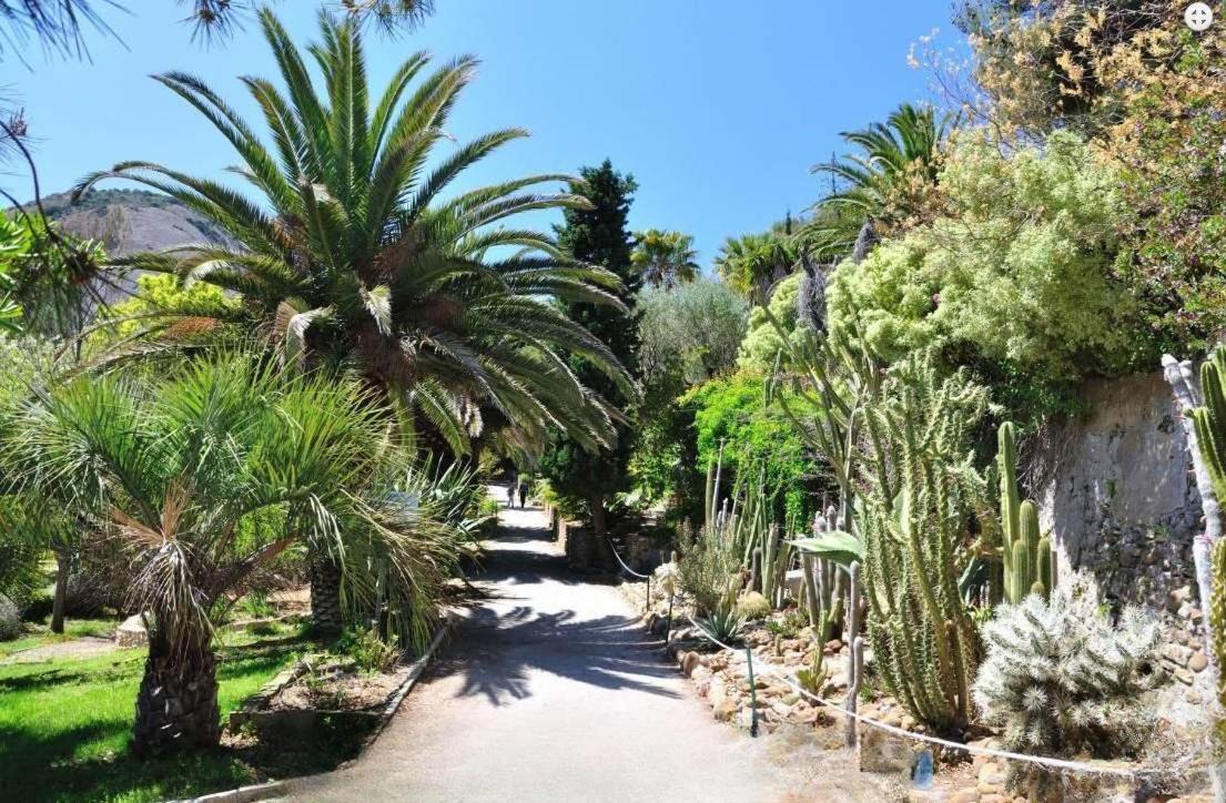 Logement Climatise Avec Jardin Et Parking Pour 2 Personnes En Bord De Plage La Ciotat Exterior photo